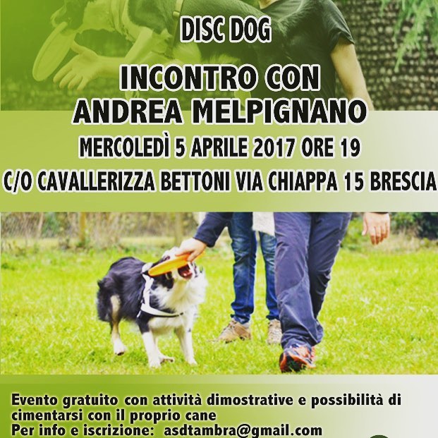 Il Discover: il gioco del frisbee con il cane