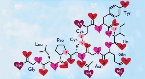 Legame d’attaccamento: tra amore e neuropeptidi