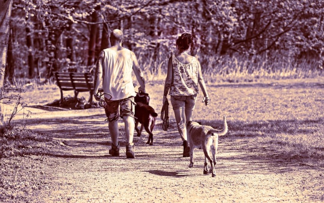 The Walking Dogs (ovvero: Passeggiate a 6 zampe!)