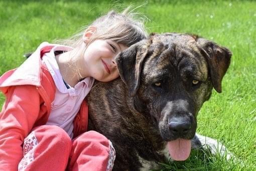 Interdipendenza tra umano e cane